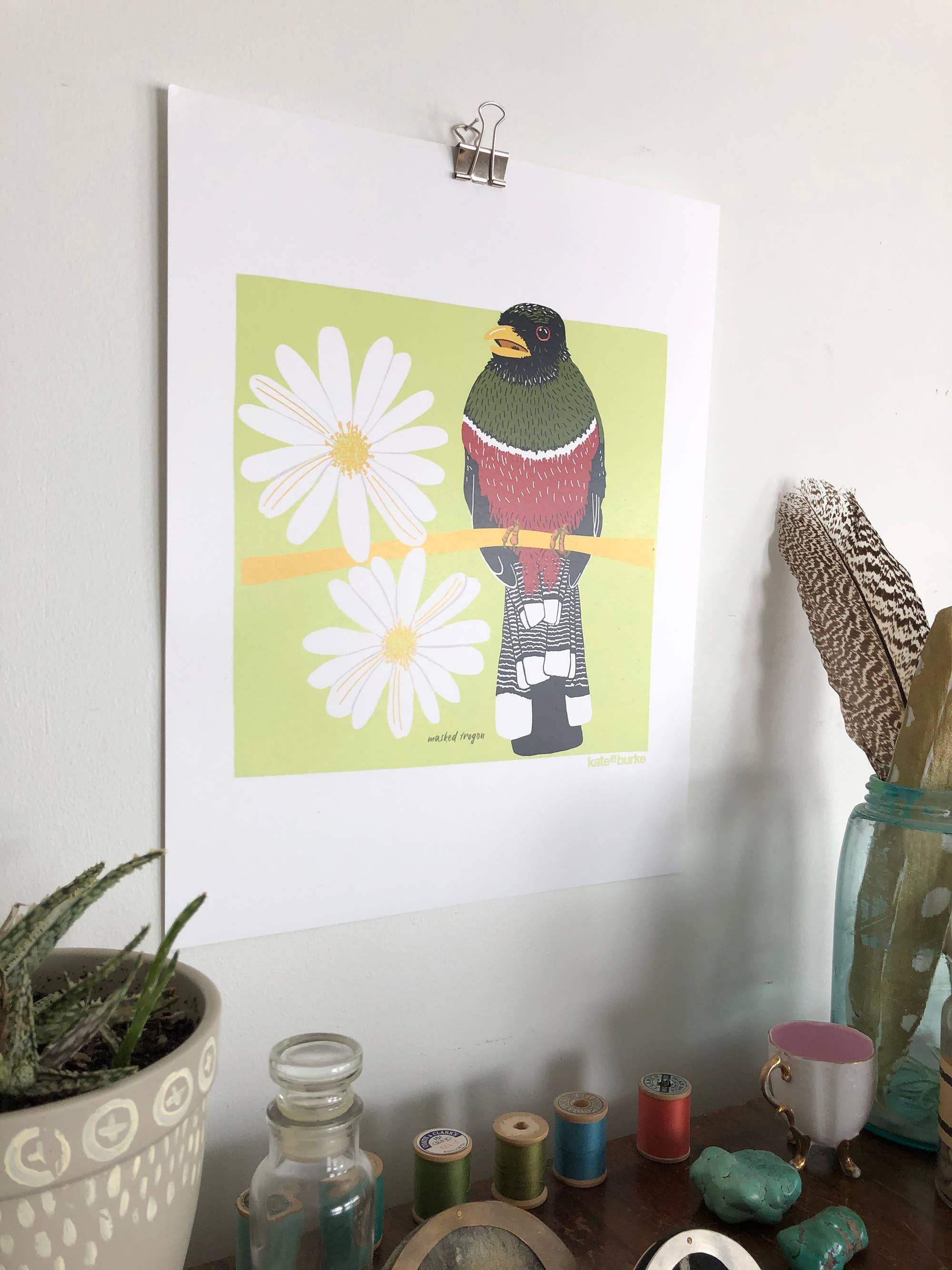 Kate E. Burke - Wholesale Art Print - Bird Series: Masked Trogon 11x14 Digital Print1