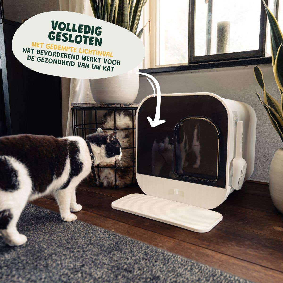 Modern White Litter Box - Removable Drawer for wholesale on Faire2