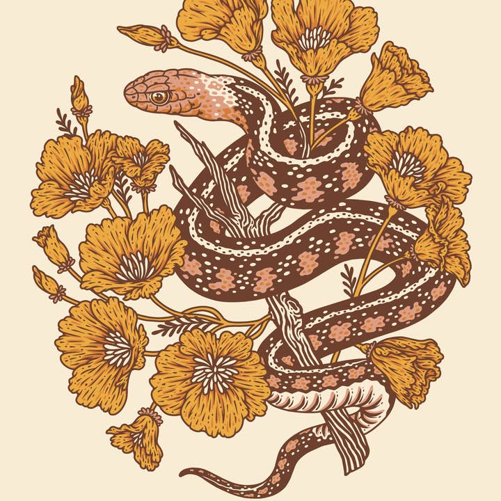 Mustard Beetle - Wholesale Art Print - Snake + Poppies 8x10" Giclee Print