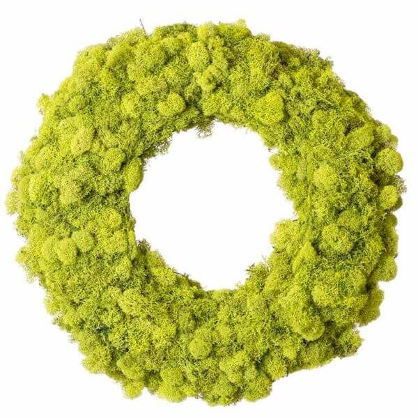 Dried Decor - Vente Couronne - Couronne de Lichen de Renne Séché | Simple ou Lot de Deux | Chartreuse
