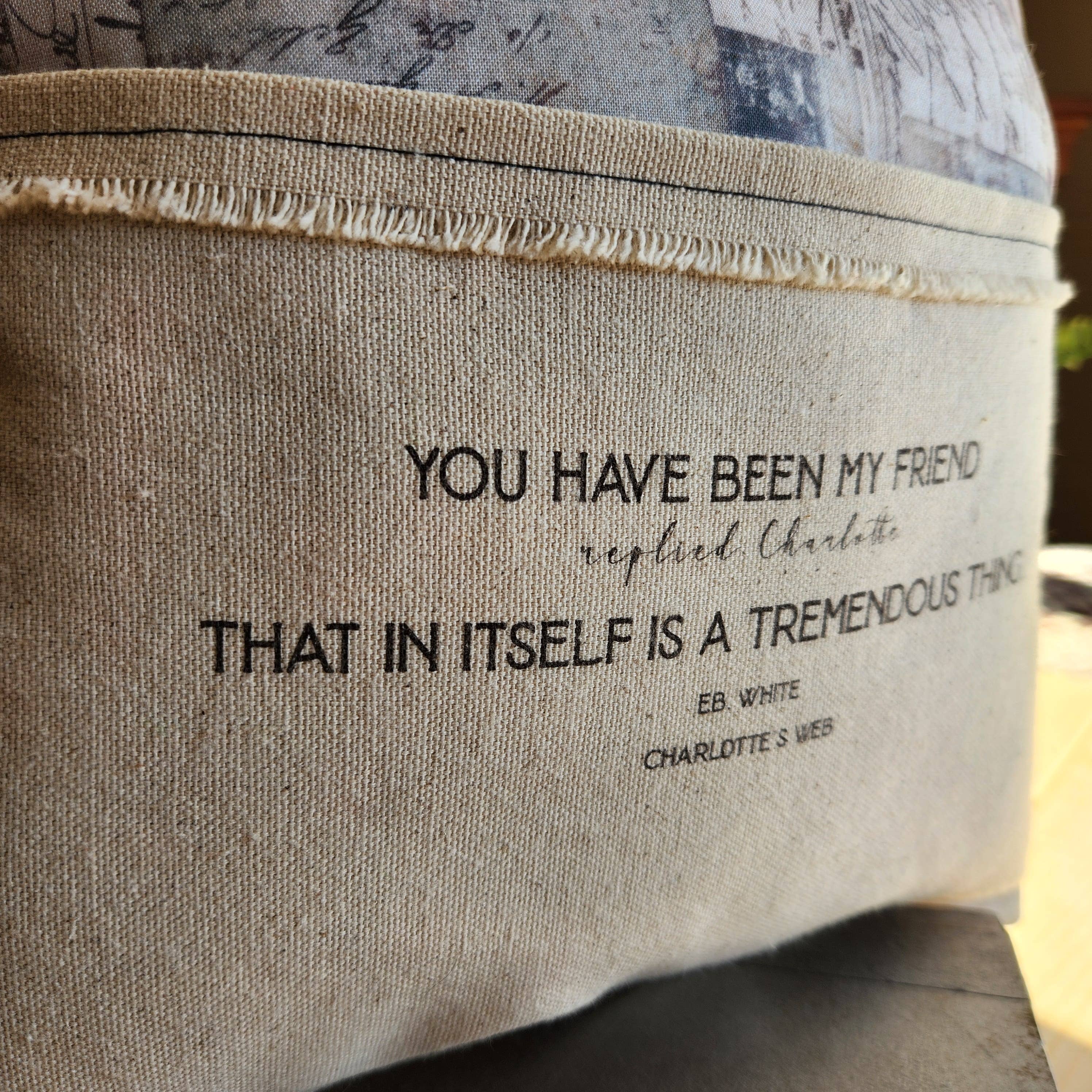 Desmond Brown - Wholesale Throw/Decorative Pillow - Charlotte's Web, Reading Pillow, vintage postcard1