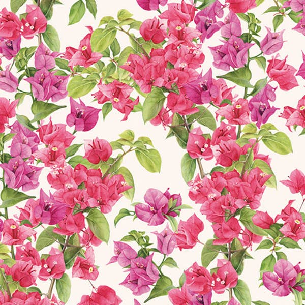 Bouganville - 70 x 100 cm för wholesale av Grafiche Tassotti