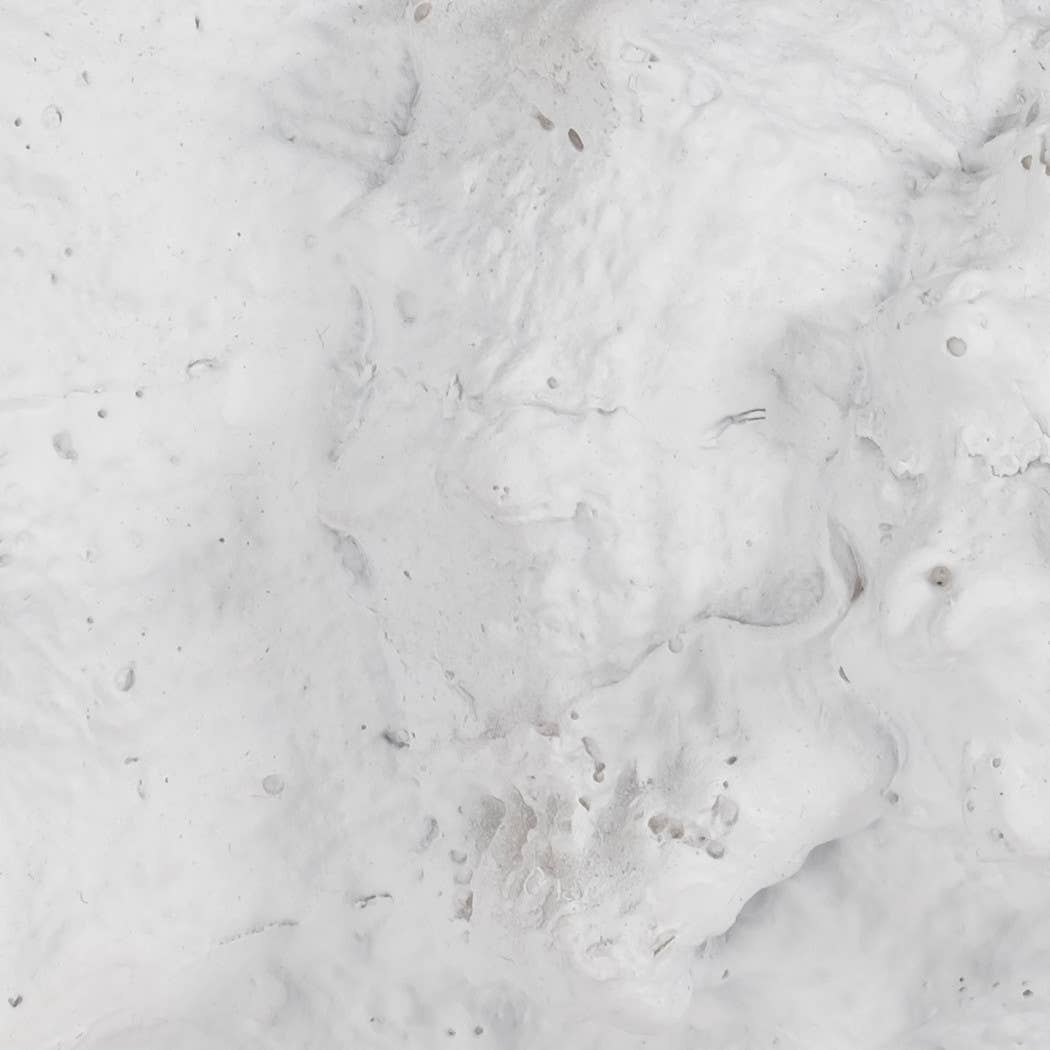 Sagebrook Home - Wholesale Decorative Figurine - Figurine - White Resin Coastal Solid Conch Shell, 10 in.9