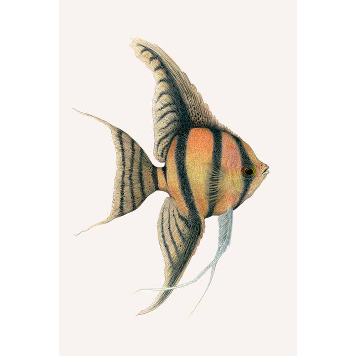 Studio Binck - Wholesale Art Print - Fine art print JUPITER