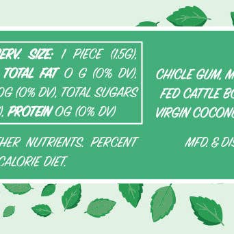 The VanMan Company - Wholesale Chewing Gum - *New* VanMan's Remineralizing Chewing Gum - 2 oz1