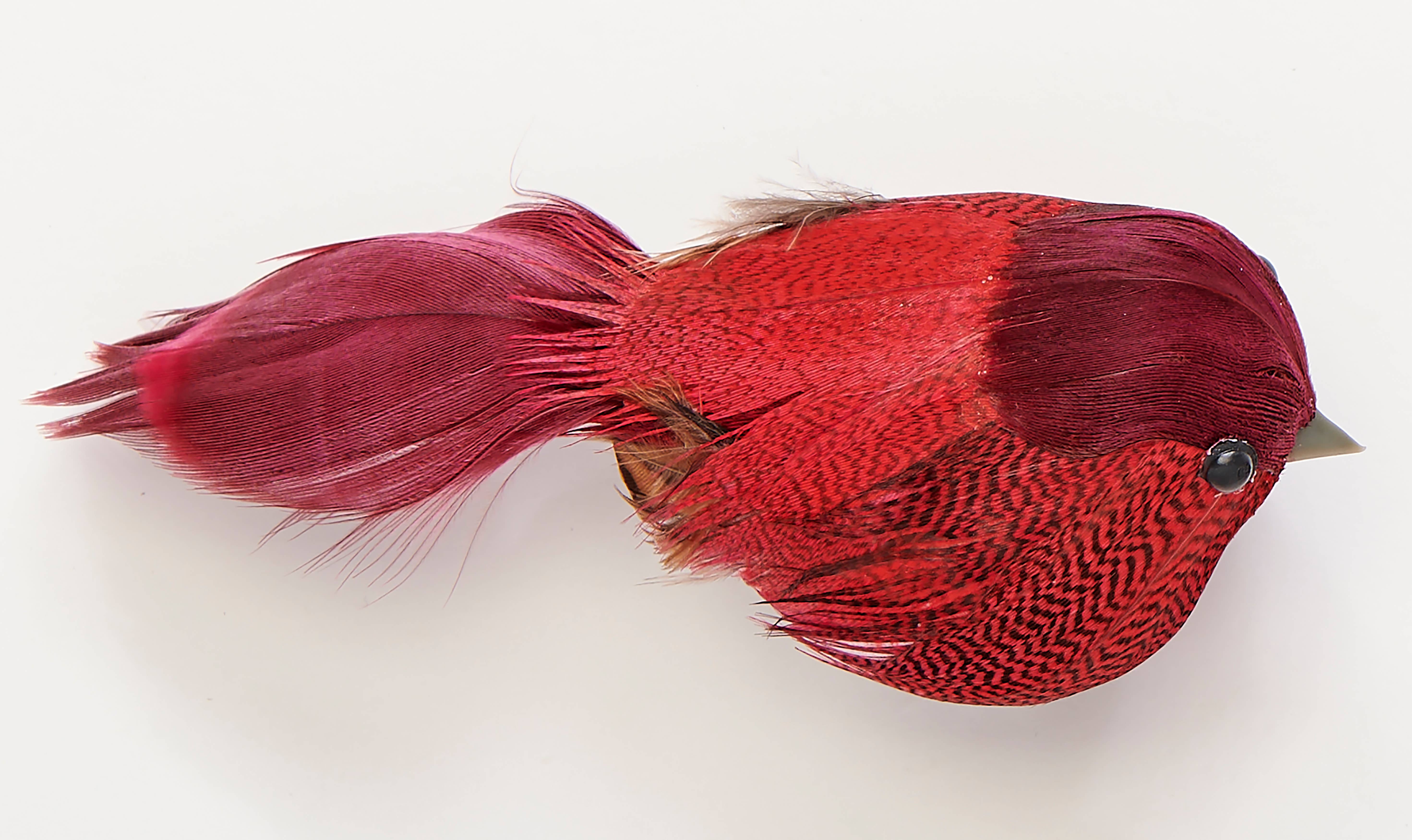 WORTH IMPORTS - Vente Objets de décoration - Oiseau à plumes de 3 po avec agrafe en métal1