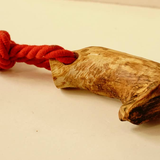 hundsfutter - Wholesale Pet Chew Toy - Dog - Olive wood teether with cotton cord6