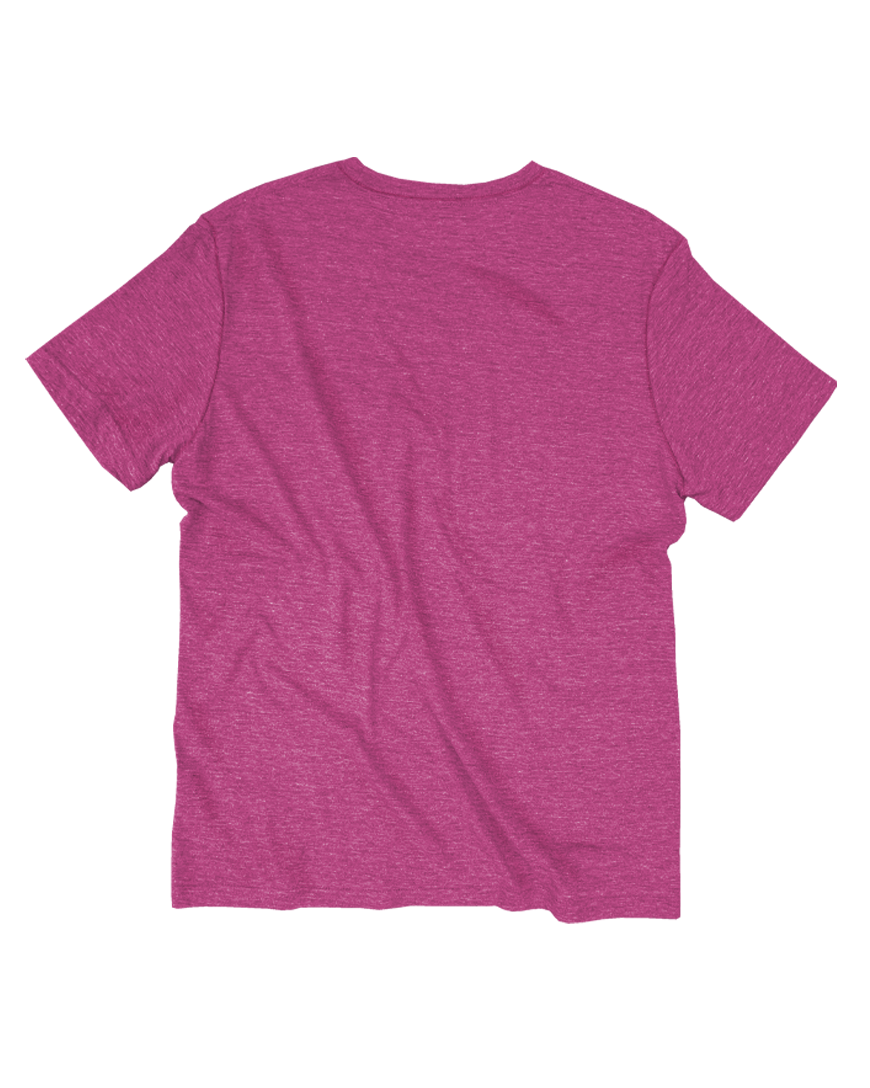 GOEX Apparel - Wholesale T-Shirt - Men's - Unisex Short Sleeve Triblend Tee18