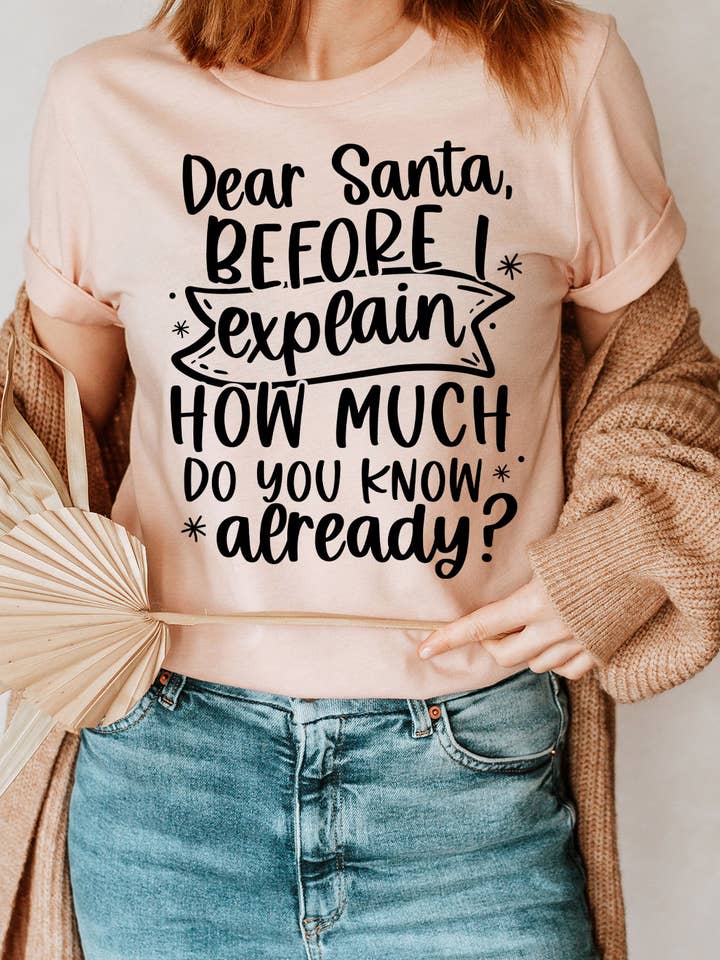 Select Apparel - Wholesale Screen printed t-shirt – Women′s - Dear Santa How Much Do you Know Graphic Tee3