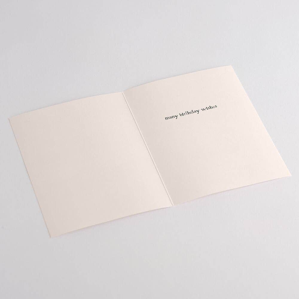 Lovepop Cards - Wholesale Birthday Card - Genie Birthday: Lovepop Press™ 5x7", Birthday Cards3