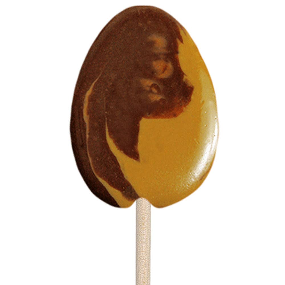 Melville Candy Company - Vente Friandises enrobées de chocolat - Cuillères à café moka et noisettes1