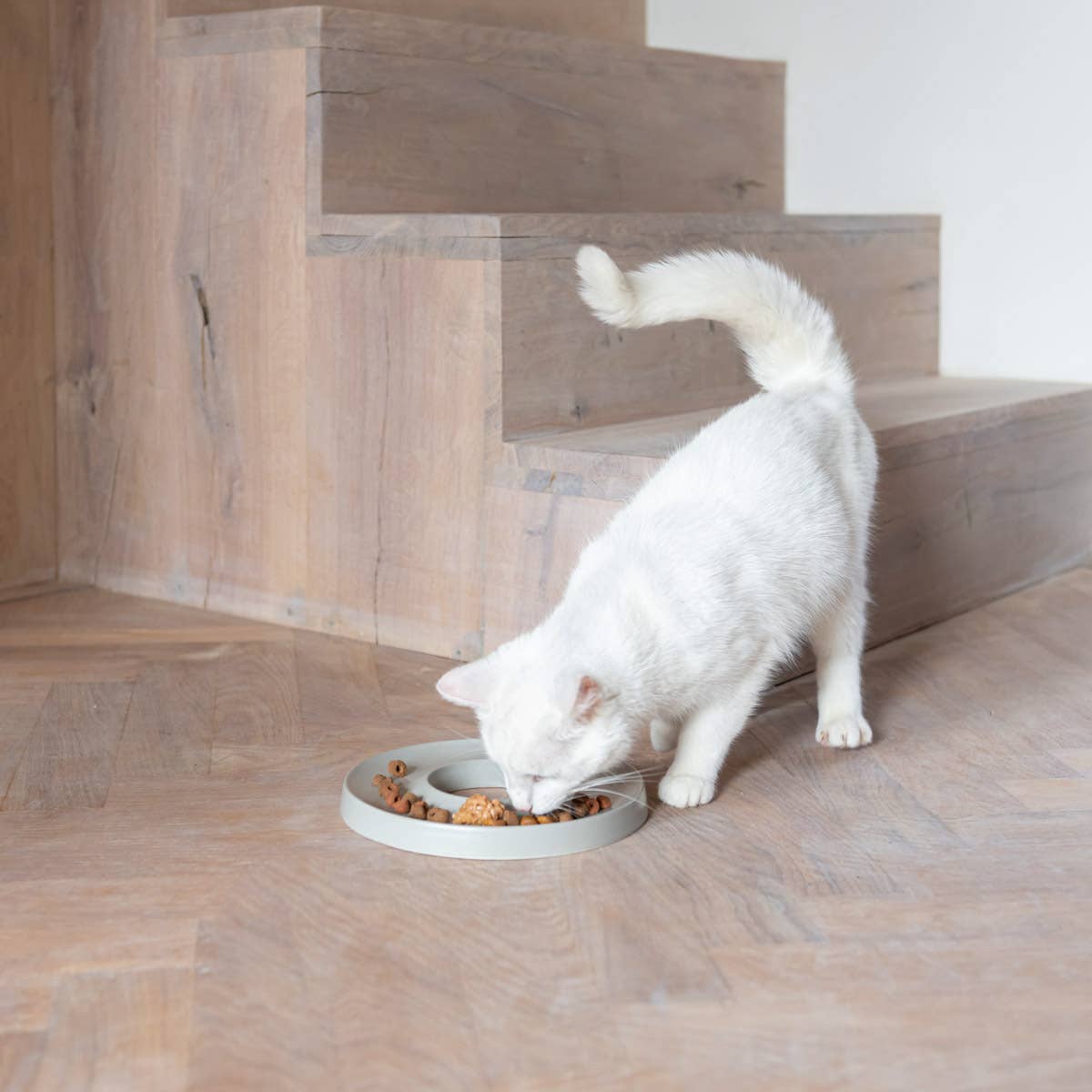 Hoopo – wholesale Husdjursskål - Katt och hund – Hoopo Ring slowfeeder för katt6