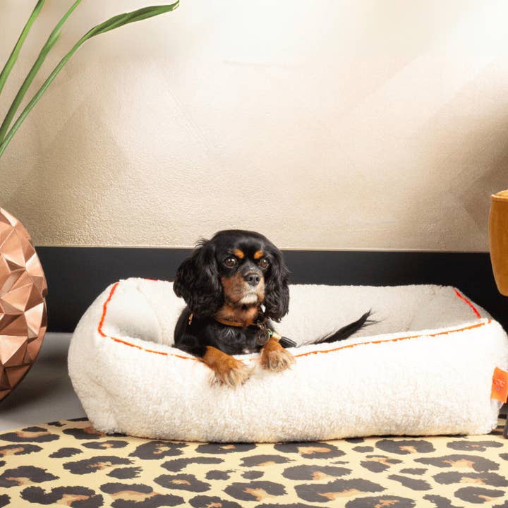 Dog with a Mission - Wholesale Pet Bed - Dog - Ibiza Dream Dog Bed L (90 X 105 cm)3