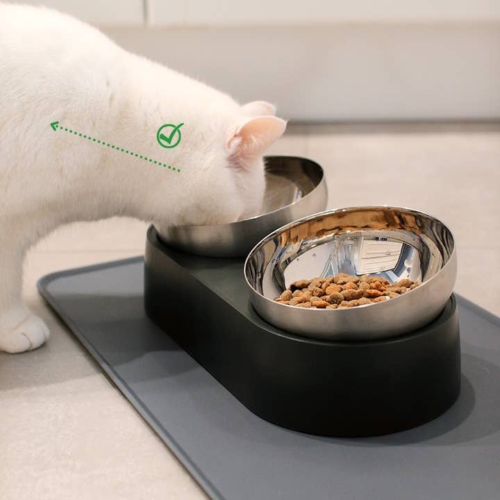 Leo's Paw - Vendita all'ingrosso Ciotola - Cani e gatti - Ciotola per gatti in acciaio inossidabile antivomito
