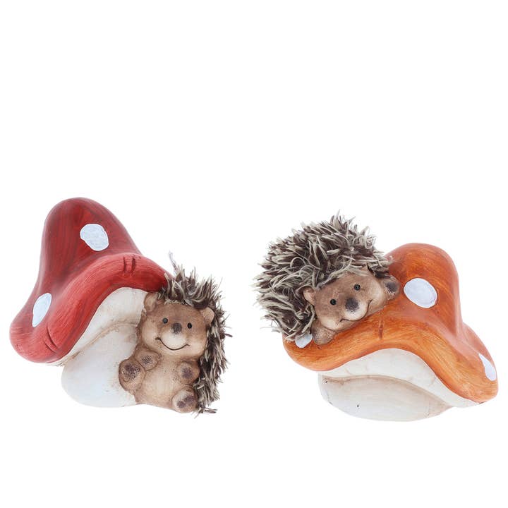 Bauern-Igelpilz, Größe M für den Großhandel von Joe Davies