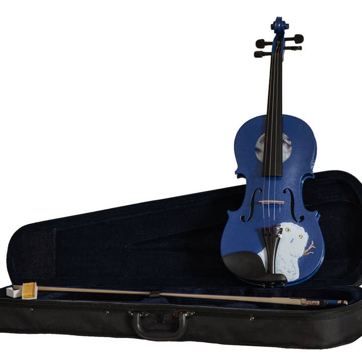 Rozanna's Violin - Vente Instruments de musique - Tenue de violon Mystic Owl4