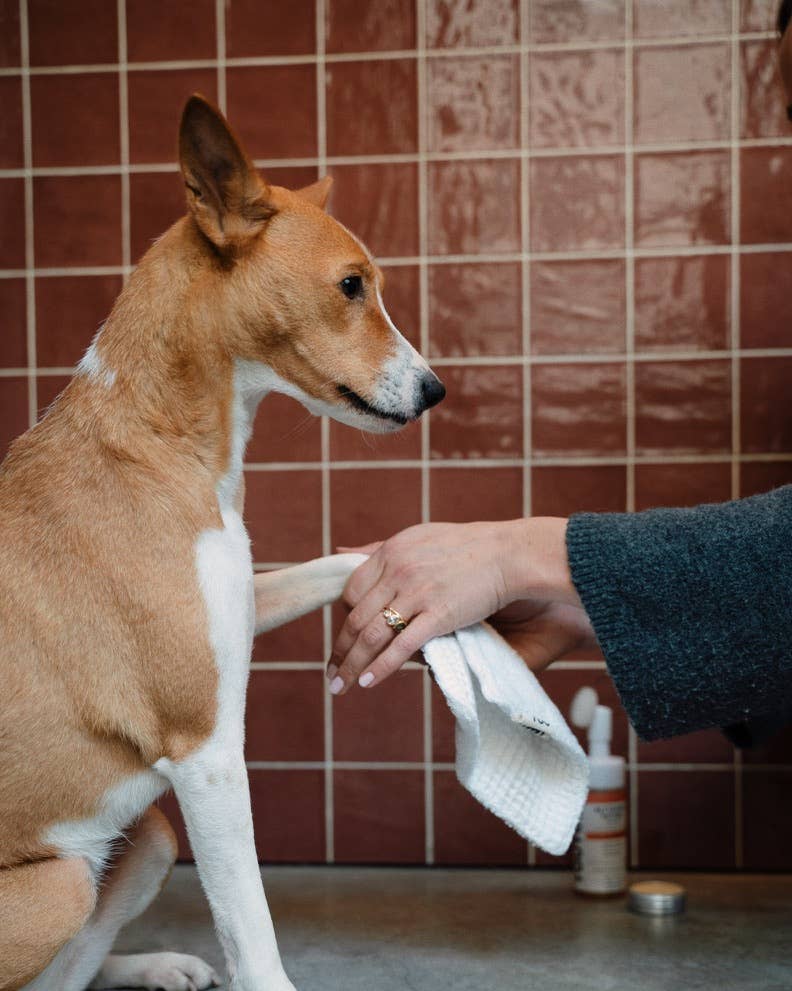 Toutou Petcare - Wholesale Pet Paw/Nail Care Accessory - Refillable paw cleaner for dogs2