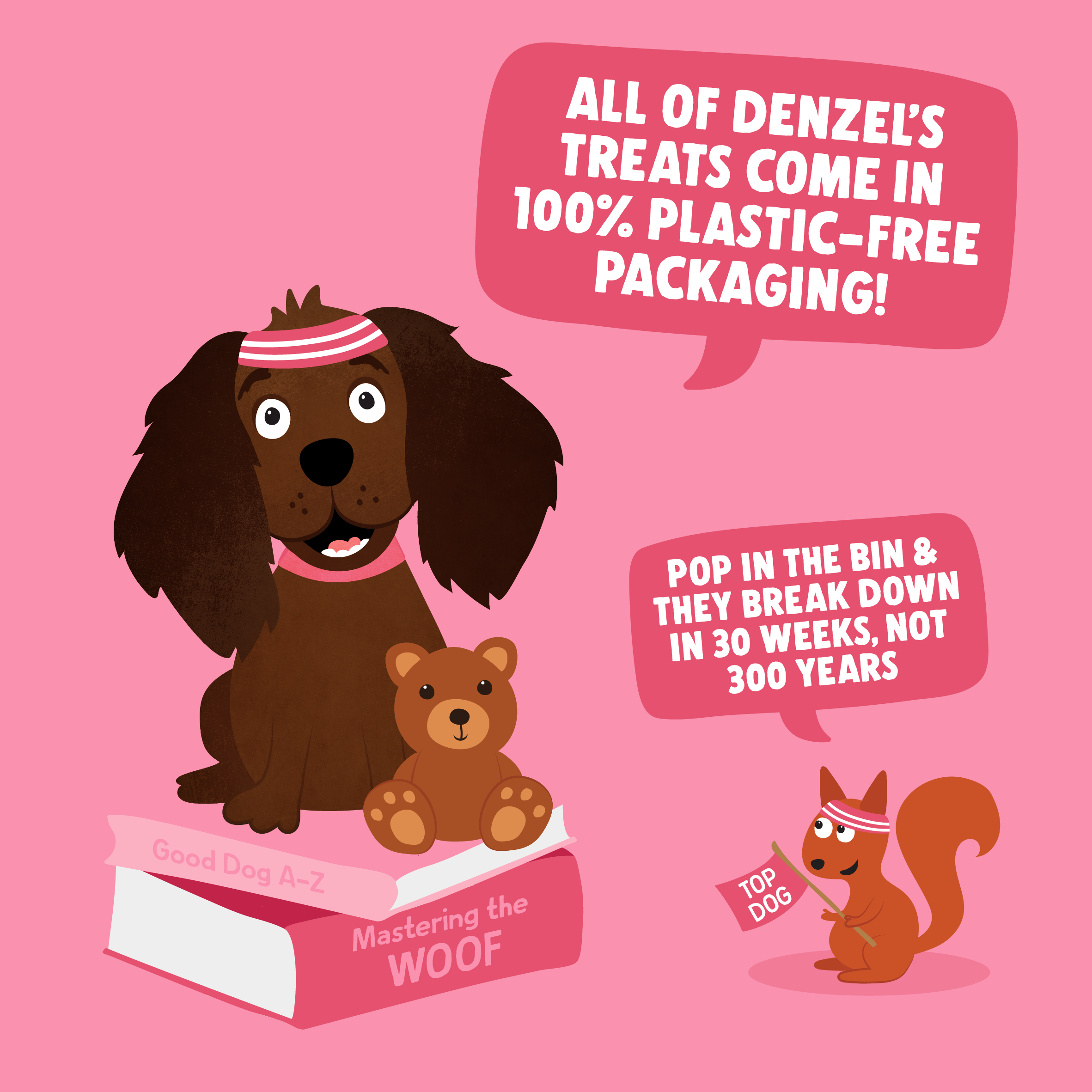 Denzel's - Healthy Dog Treats - Wholesale Pet Treats - Dog - Puppy Salmon & Peanut Butter Training Bites  (10)5