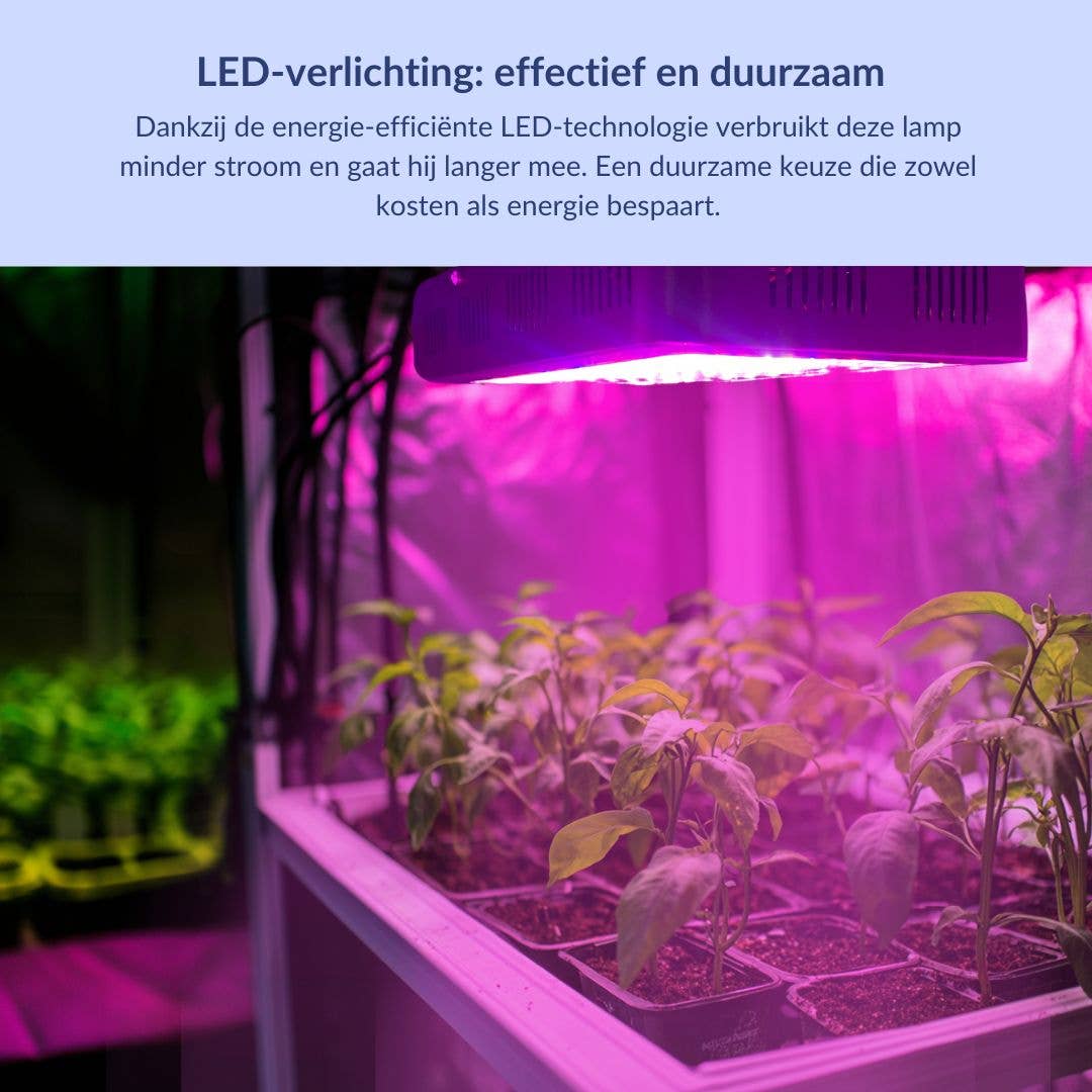 a sunny day – wholesale Ljuskrona/hängande ljus – 1000 watt tillväxtlampa med fullt spektrum, 31x21 cm3