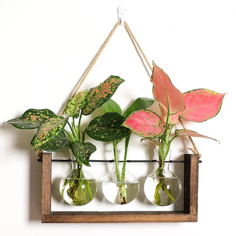 BRECK + FOX - Wholesale Vase - Plant Propagating Stand6