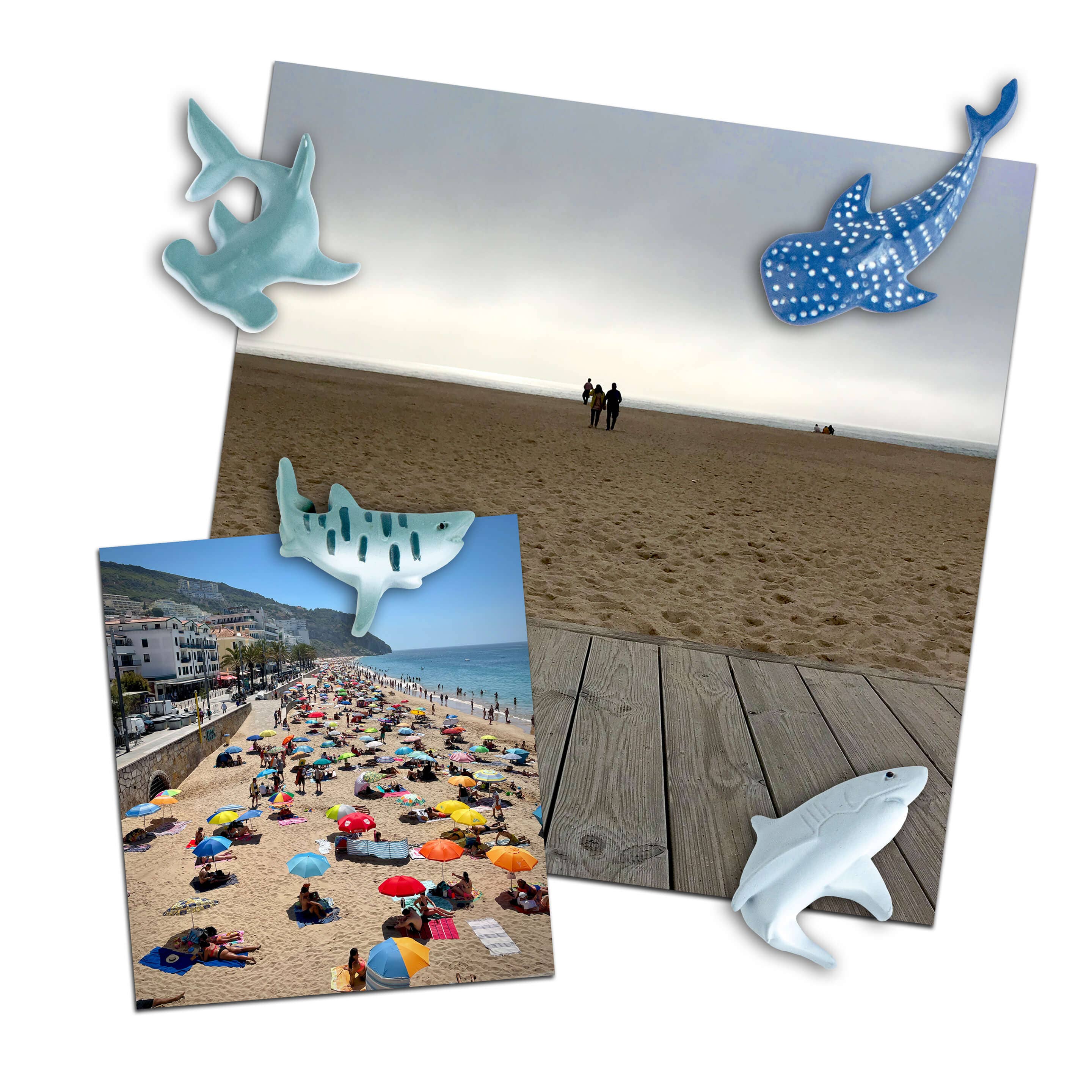 Three by Three Seattle - Wholesale Magnet - colorful SHARK magnets s/43