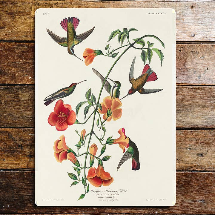 Orange Flowers Flying Humming Bird Metal Sign Plaque for wholesale by The British Metal Signs Company