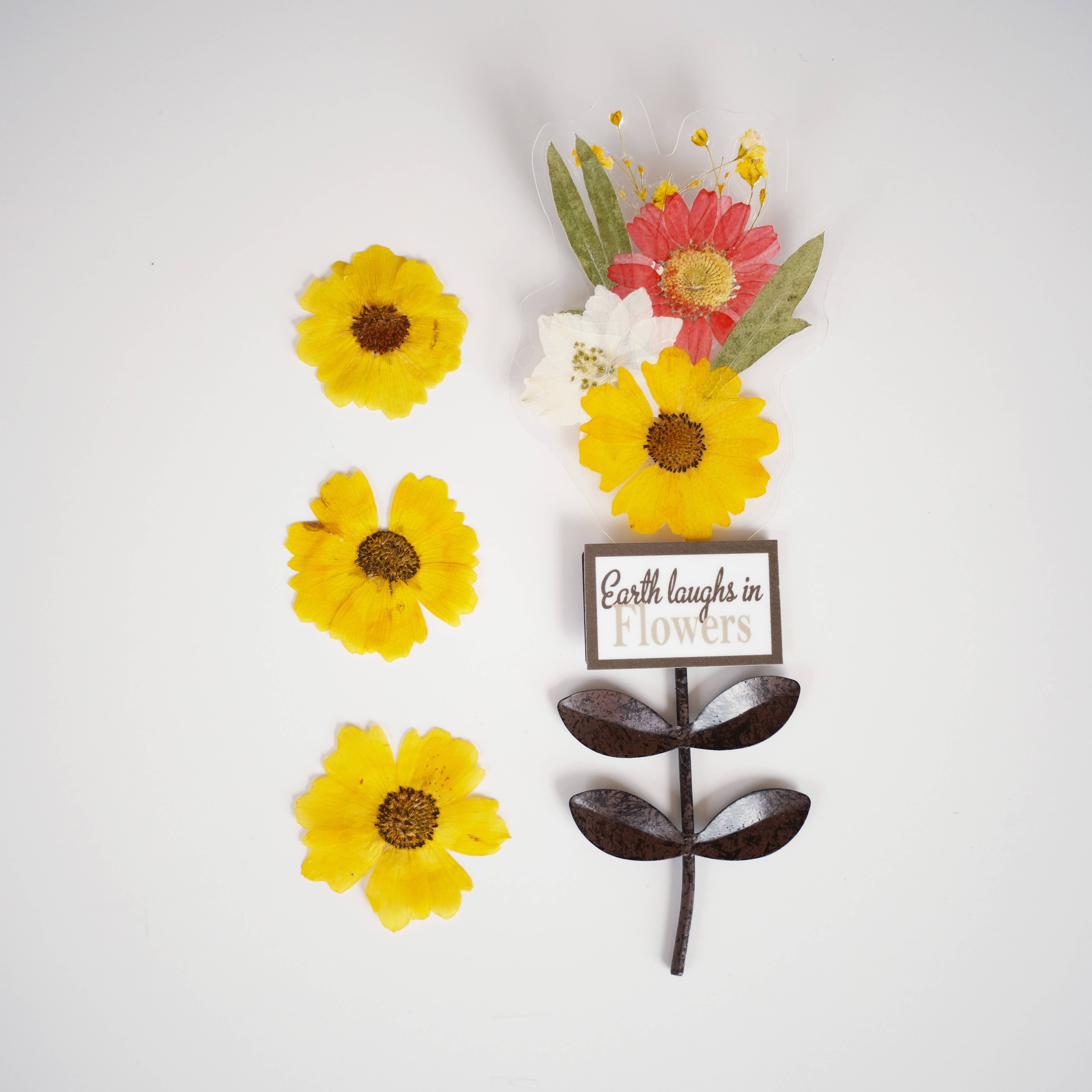 Sunnie Lane - Wholesale Dried/Pressed Flowers - Real Flower Gift & Souvenir - Custom Gifts9