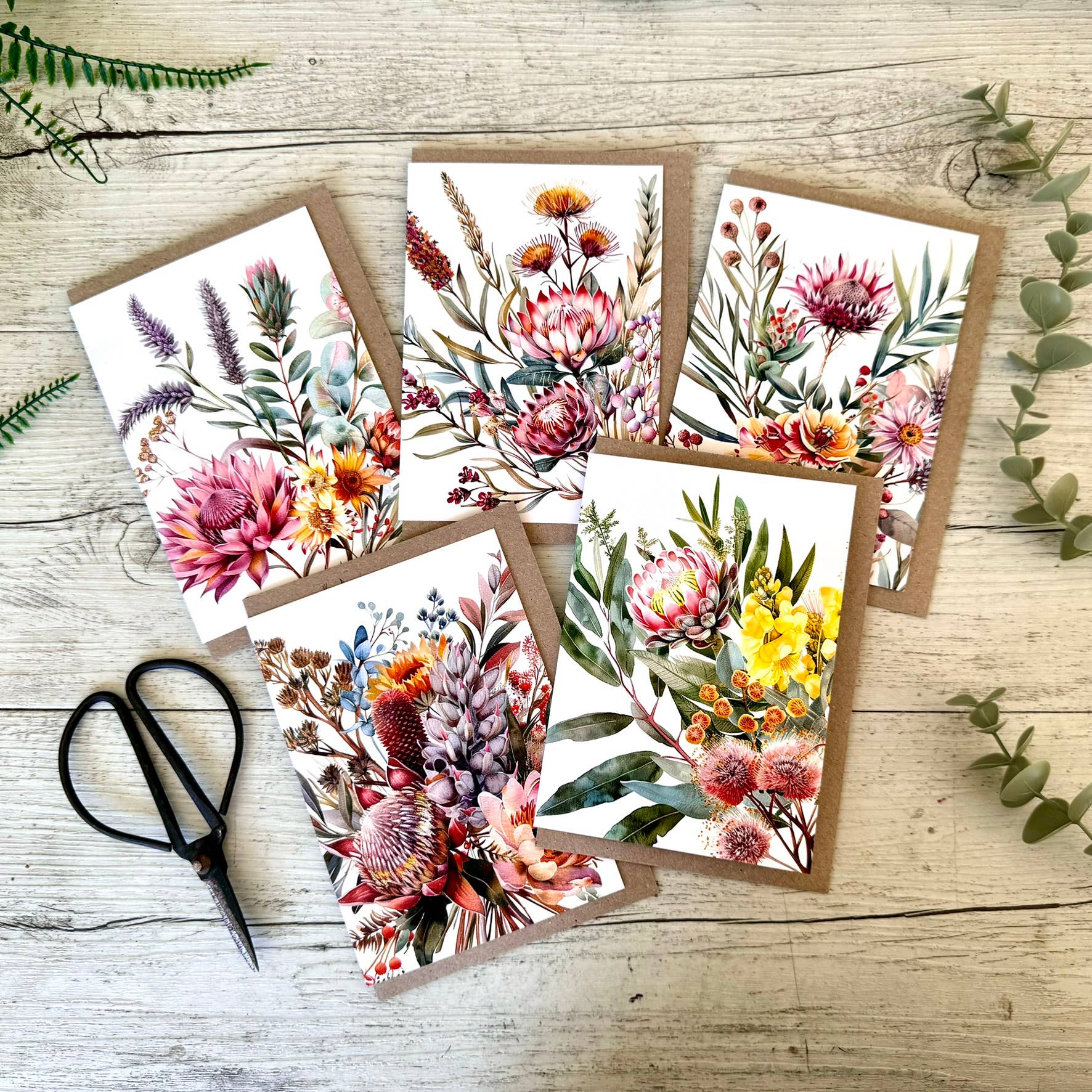 Scattered Seed Co - Wholesale Everyday greeting card - AUSTRALIAN FLORALS greeting card - Card H2
