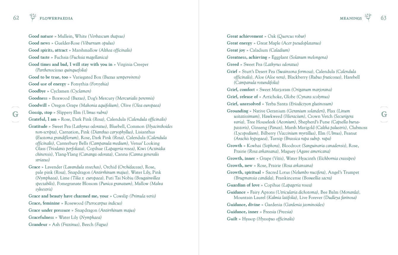 ROCKPOOL PUBLISHING - Wholesale Reference - Flowerpaedia: 1000 Flowers and Their Meanings5