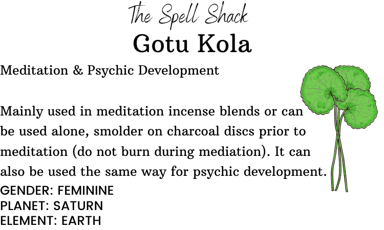 Witchuals - Rituals & Spellwork Apothecary - Wholesale Meditation Supplies - Gotu Kola2