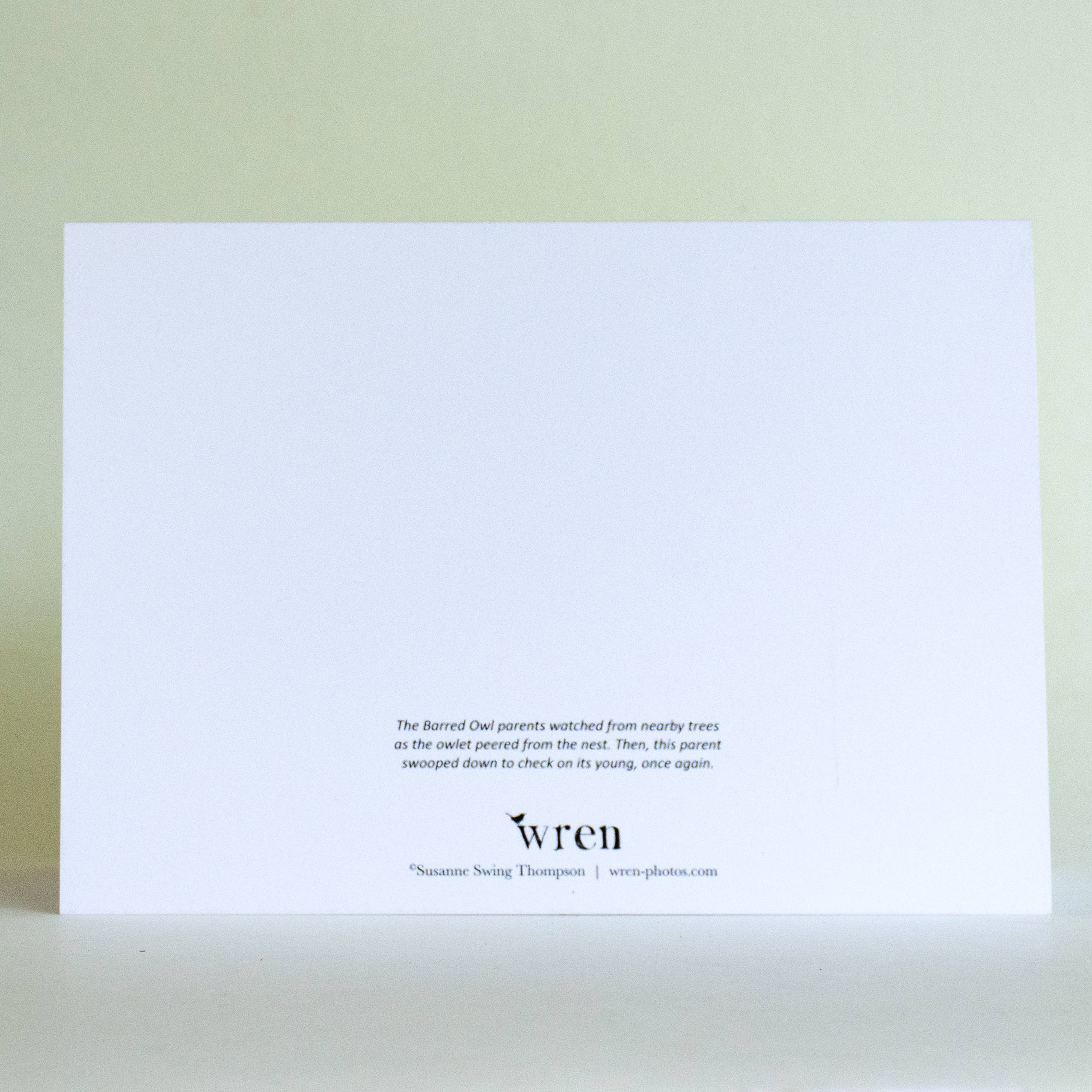Wren - Wholesale Everyday Greeting Card - Barred Owl and Owlet (Blank inside) Greeting Card2