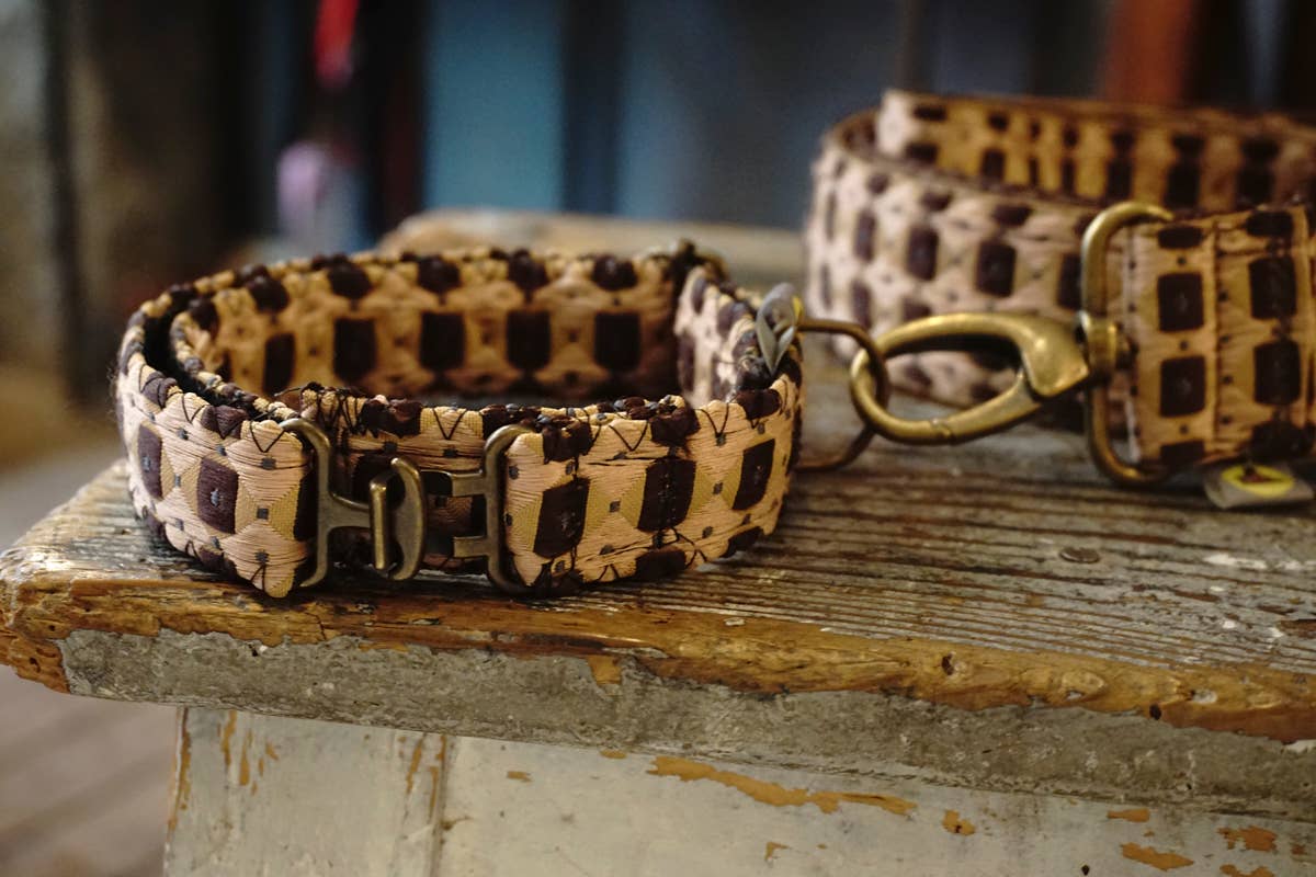 hundsfutter - Wholesale Pet Collar - Cat/Dog - Fran leash collar6