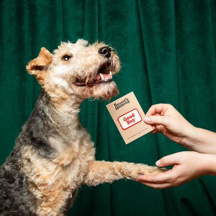 Scout's Honour Pty Ltd - Wholesale Pet Bandana - Dog - Good Boy iron-on patch for dogs and cats3