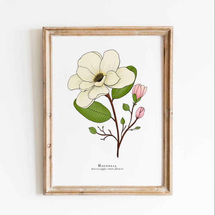 Mississippi State Flower Print | Magnolia blomtryck för wholesale av Erika Layne Art