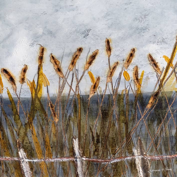 Louise O'Hara (Autumn Bullrushes) Canvas for wholesale by The Art Group