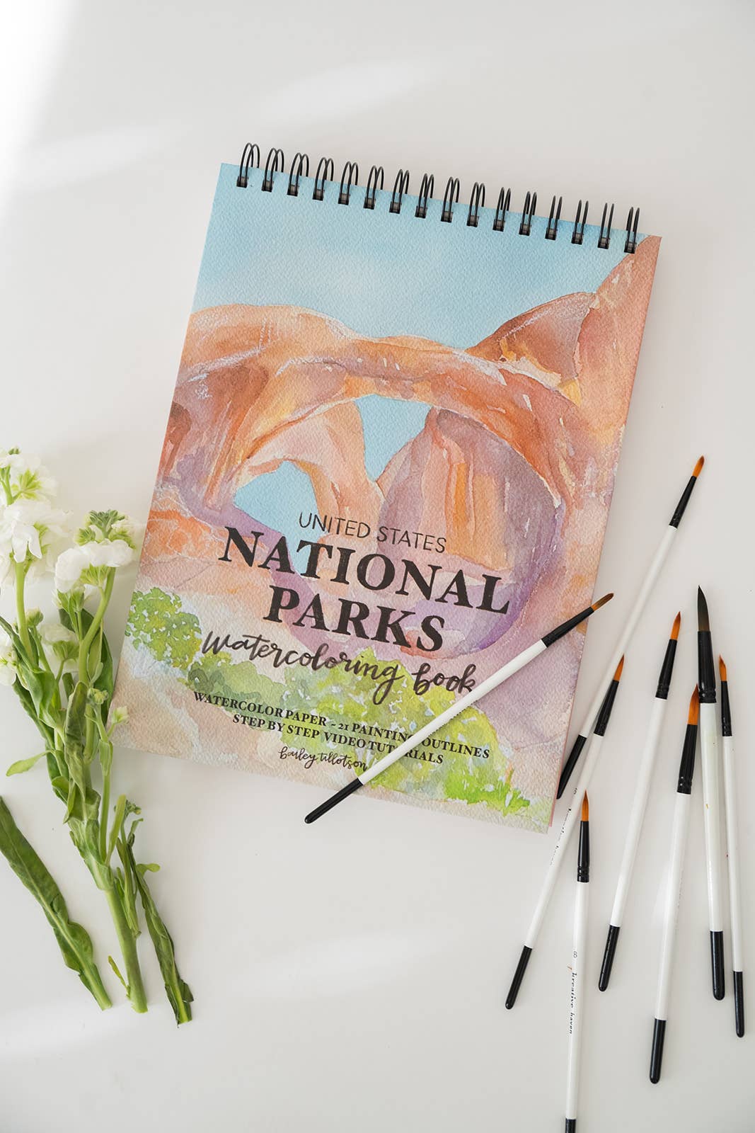 Bailey Rae Studio - Wholesale Watercolor Paint - National Parks Watercoloring Book-Outlines w/Video Tutorials3