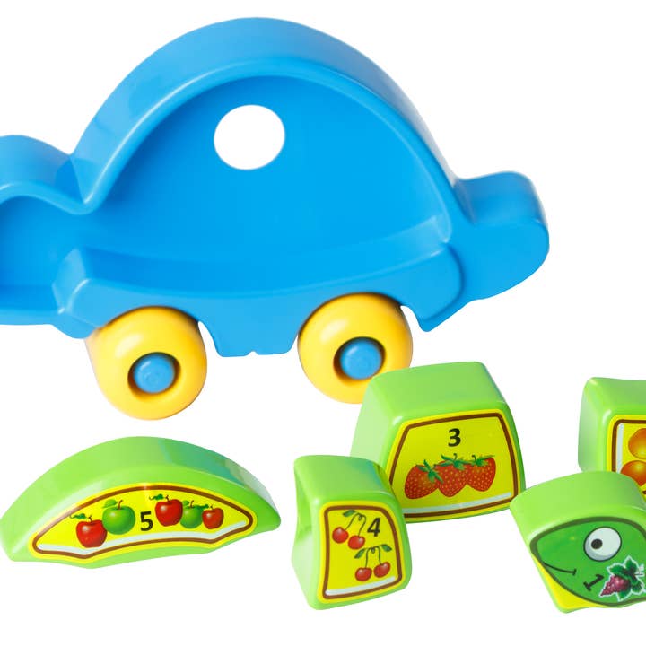 Lotus Pharmacy & Kids Boutique – Engroshandel Legetøjssæt - Børn – Pædagogisk legetøj „Turtle Mind“ i en kasse, Tigres