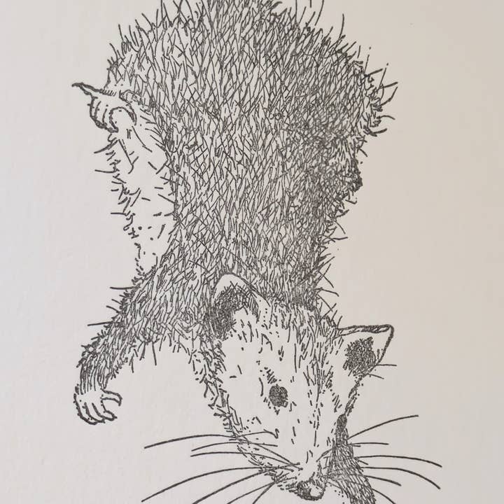 Painted Tongue Press - Wholesale Encouragement Card - Thistle Encouragement and Blank Note Card2