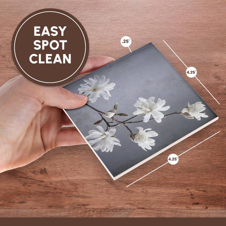 3dRose - Wholesale Coasters - 3dRose, USA, WA, Seabeck. White magnolia flowers and branches. , Coaster6