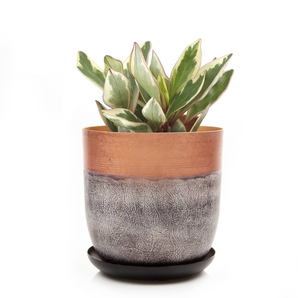 Chive - Wholesale Plant Pot - Joe Metal Flower Pots And Planters With Drainage Hole Saucer6