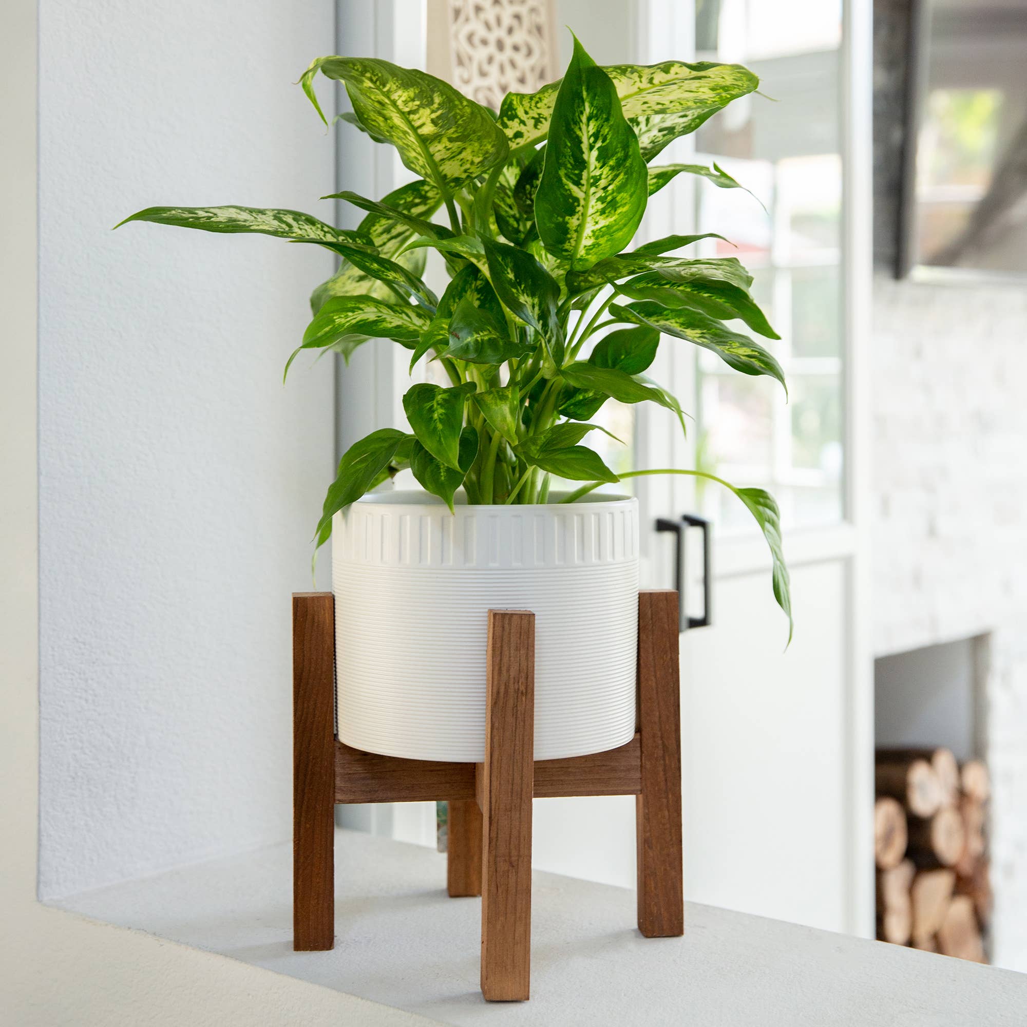 Flora Bunda Inc - Wholesale Plant Pot - Textured Ceramic Planter with Wood Stand3