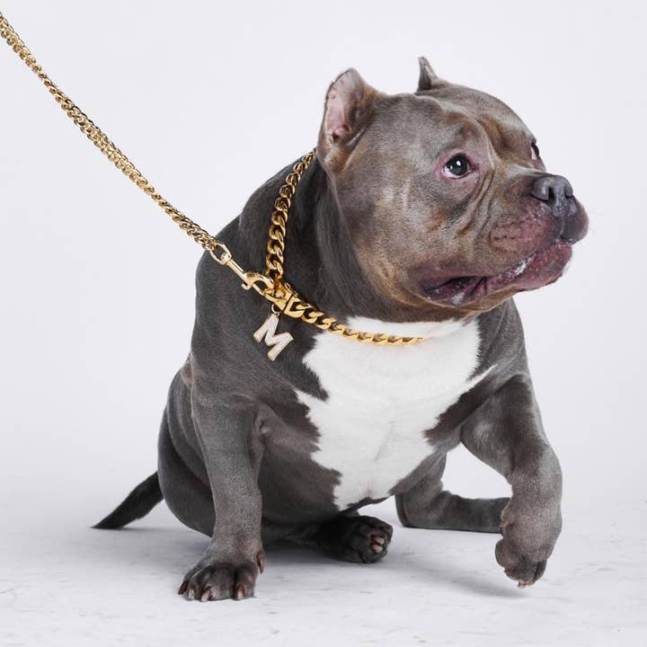 Spark Paws - Wholesale Pet collar charm – Cat/dog - Initial Letter Jewelry Tag - M2