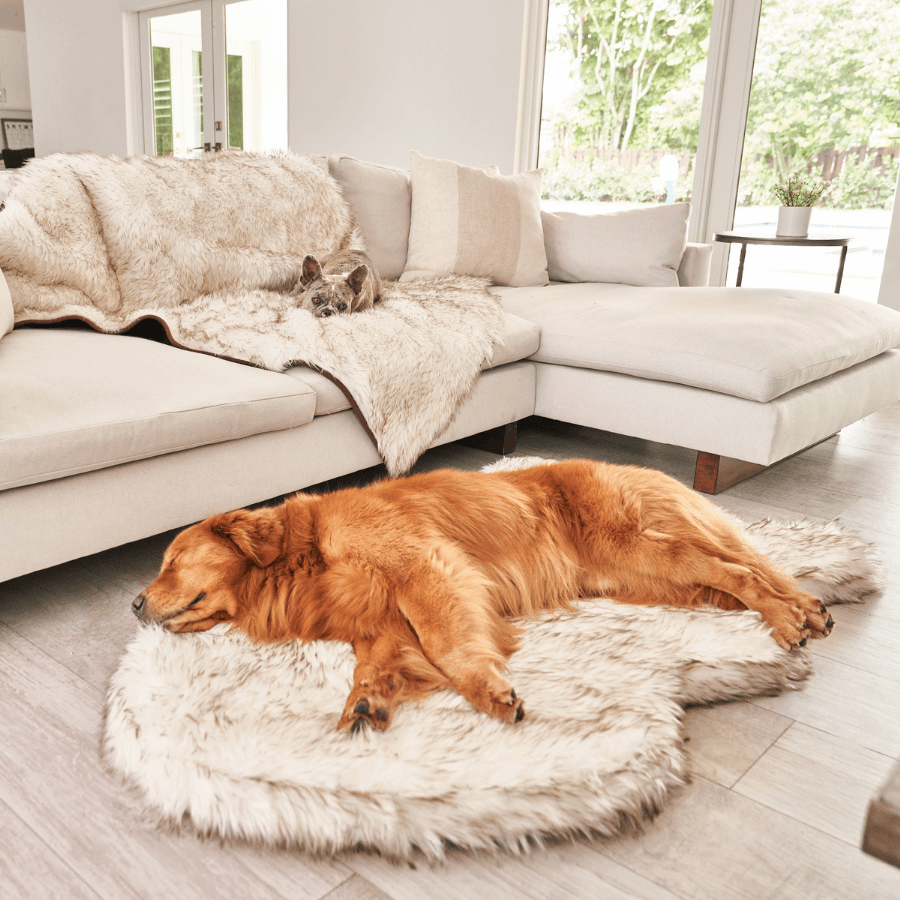 Paw Brands - Wholesale Pet Bed - Dog - PupRug by Paw.com™ Faux Fur Orthopedic Dog Bed - Curve White with Brown Accents11