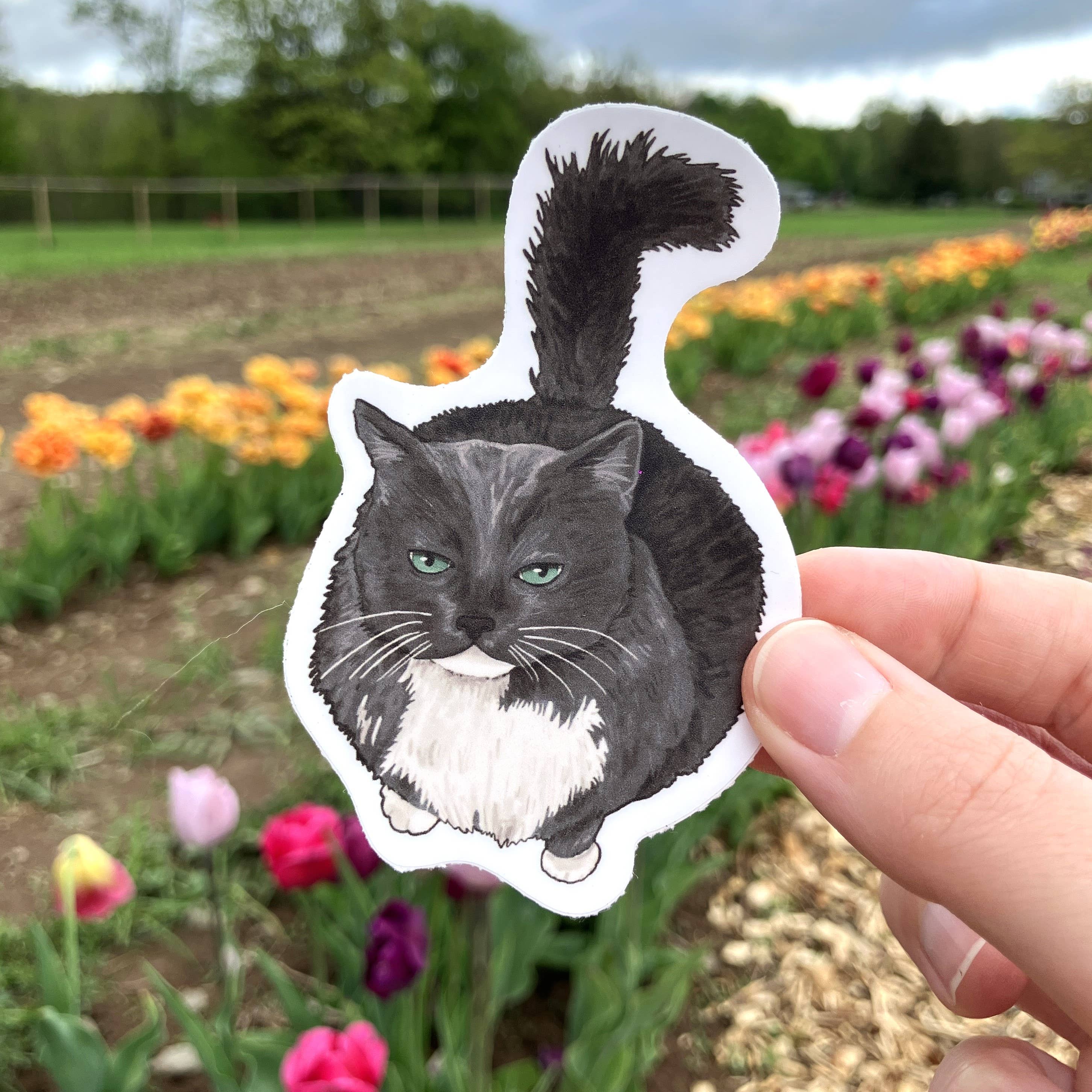 Art Fimbel - Wholesale Sticker - Grumpy Fat Cat, Gray Long-Haired Cat, Premium Vinyl Sticker1