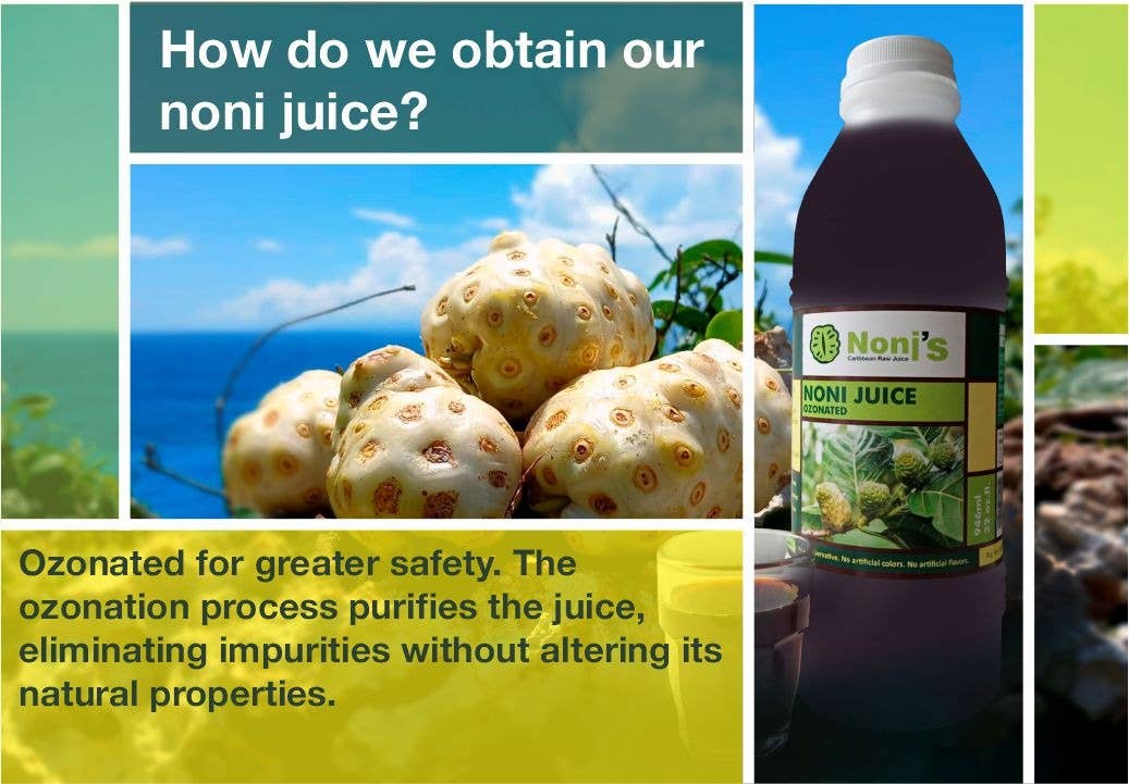 Frutos pachamama eirl - Wholesale Wellness Juice/Tonic - Noni's Caribbean raw juice5