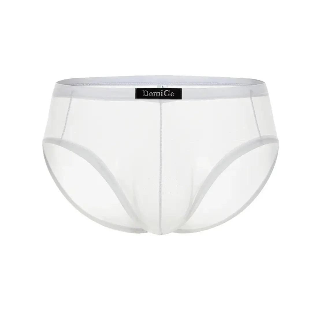 DomiGe - Vente Sous-vêtements – homme - Slips transparents pour hommes avec logo, ceinture élastique et pochette profilée, sous-vêtements masculins13