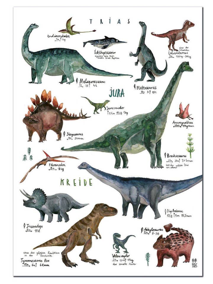 Poster di dinosauri | "Specie di dinosauri" per la vendita all'ingrosso da parte di Halfbird