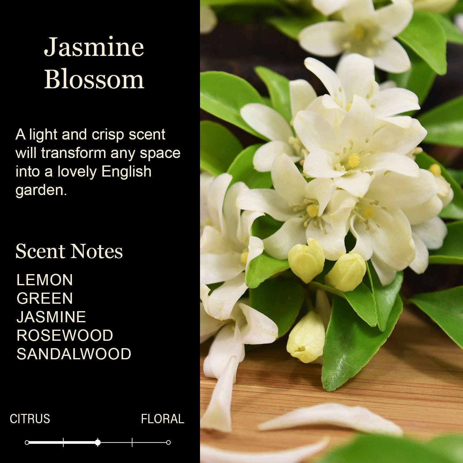 Cedar Crate Market - Vente Bougie en bocal - Je t'aime plus qu'une prostituée de ruelle n'aime une bougie de crack.1