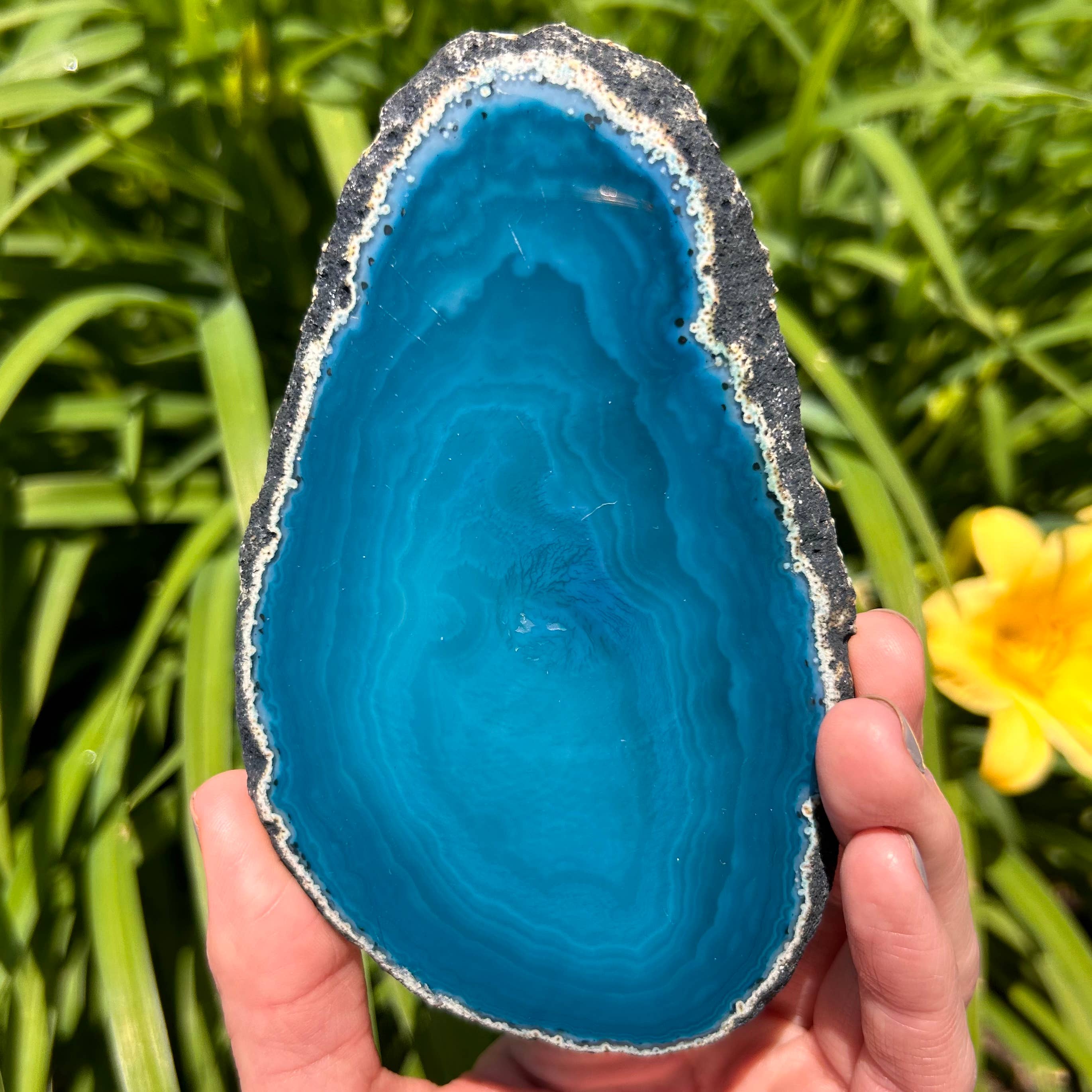 Quasar Gems USA - Vendita all'ingrosso Pietra/cristallo spirituale - Fette di Agata colorate6