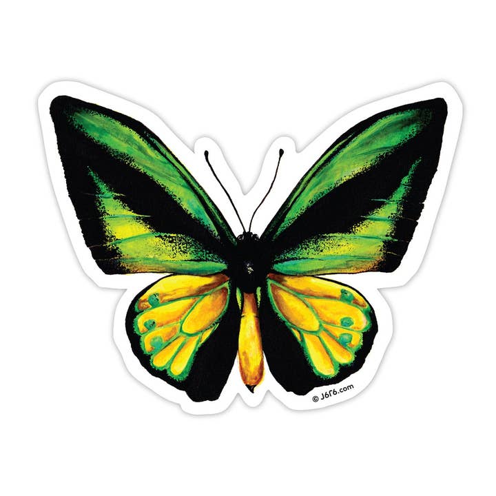 Butterfly 8 Vinyl Sticker, Goliath Samson Birdwing for wholesale by J6R6